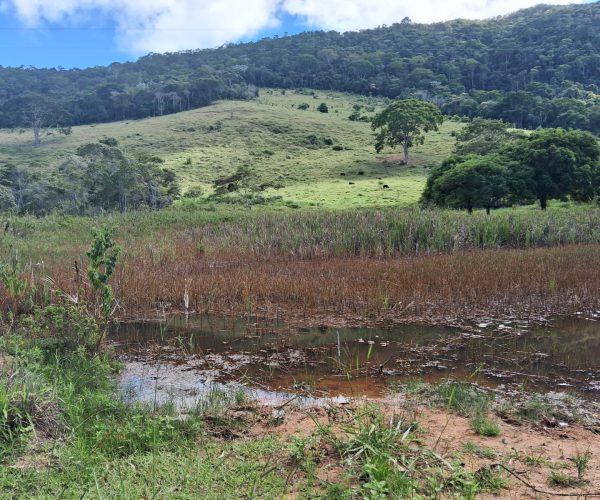 WhatsApp Image 2025-12-15 at 10.45.32