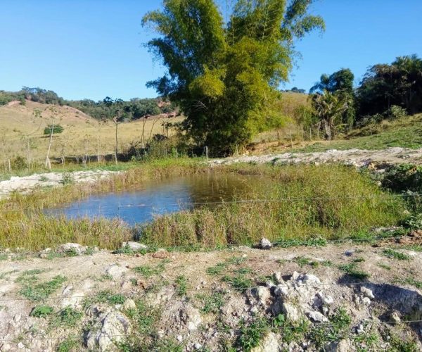 WhatsApp Image 2025-12-15 at 13.02.42 (1)