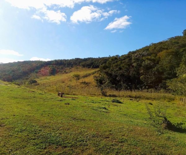 WhatsApp Image 2025-12-15 at 13.02.42 (2)