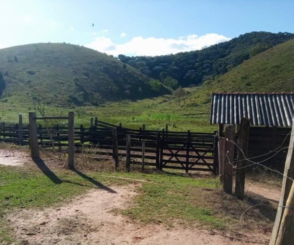 WhatsApp Image 2025-12-15 at 13.02.42 (4)