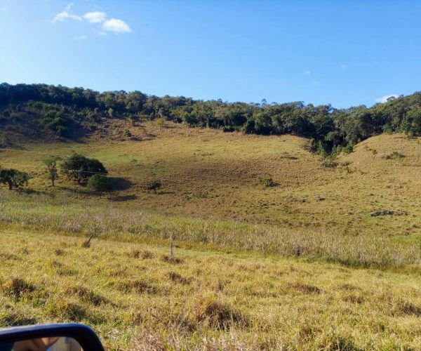 WhatsApp Image 2025-12-15 at 13.02.42