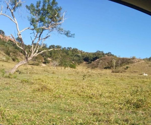 WhatsApp Image 2025-12-15 at 13.02.43 (1)