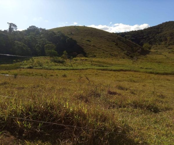 WhatsApp Image 2025-12-15 at 13.02.43 (2)