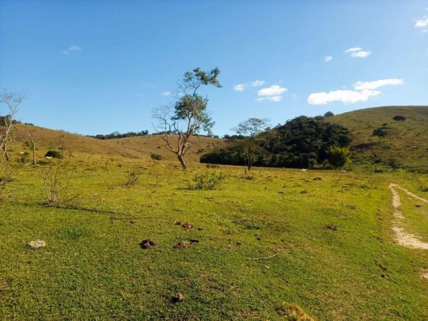 WhatsApp Image 2025-12-15 at 13.02.43 (3)