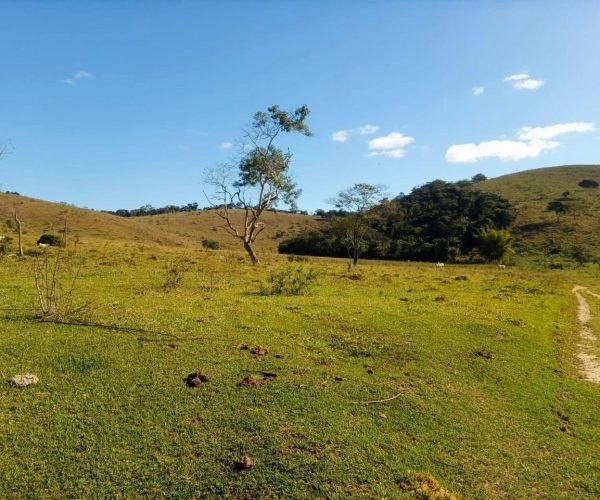 WhatsApp Image 2025-12-15 at 13.02.43 (3)