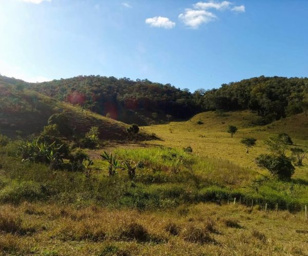 WhatsApp Image 2025-12-15 at 13.02.43