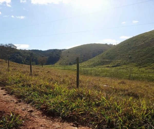 WhatsApp Image 2025-12-15 at 13.02.44 (1)