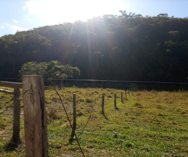 WhatsApp Image 2025-12-15 at 13.02.44 (2)