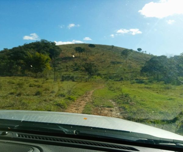 WhatsApp Image 2025-12-15 at 13.02.44