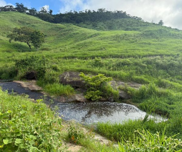 WhatsApp Image 2025-12-15 at 16.20.00