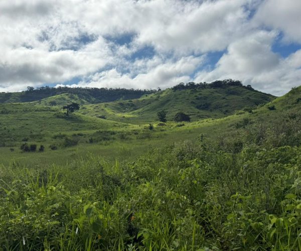 WhatsApp Image 2025-12-15 at 16.20.01 (2)