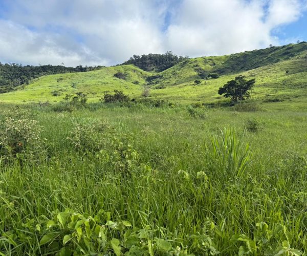 WhatsApp Image 2025-12-15 at 16.20.02