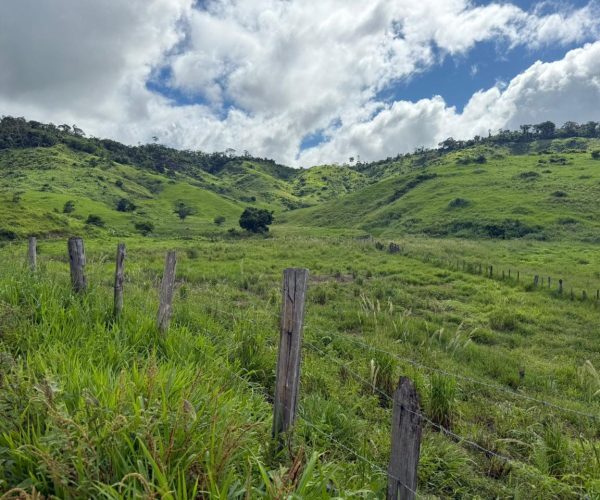 WhatsApp Image 2025-12-15 at 16.20.03