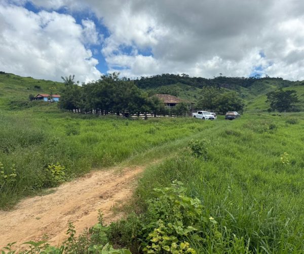 WhatsApp Image 2025-12-15 at 16.20.04 (1)