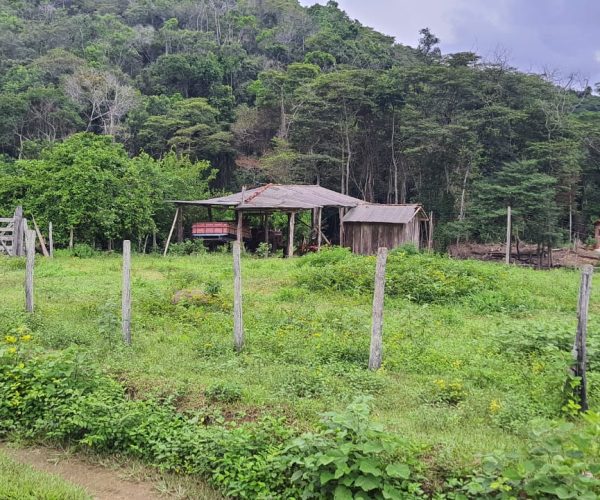 WhatsApp Image 2025-12-15 at 18.08.39 (1)