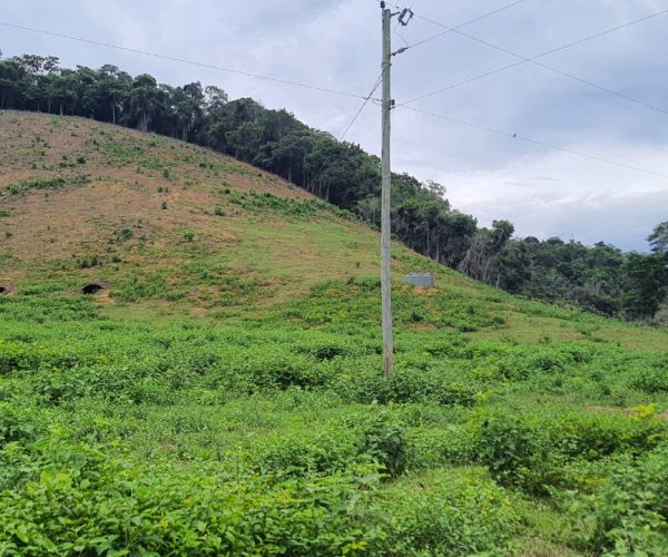 WhatsApp Image 2025-12-15 at 18.08.40