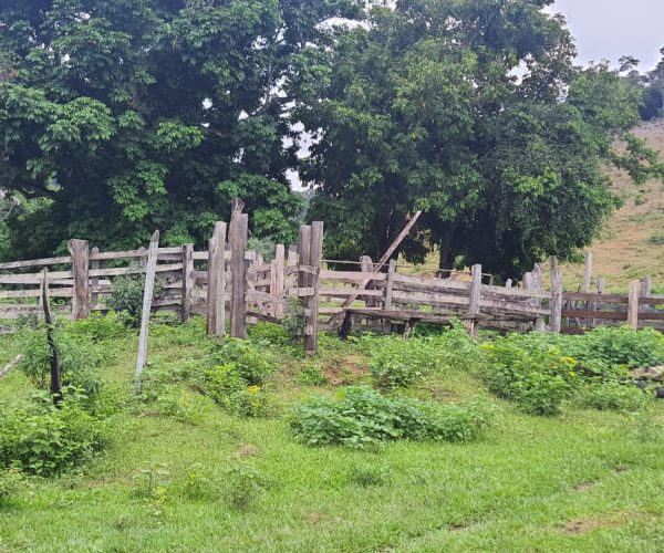 WhatsApp Image 2025-12-15 at 18.08.41 (1)