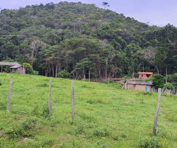 WhatsApp Image 2025-12-15 at 18.08.41 (2)