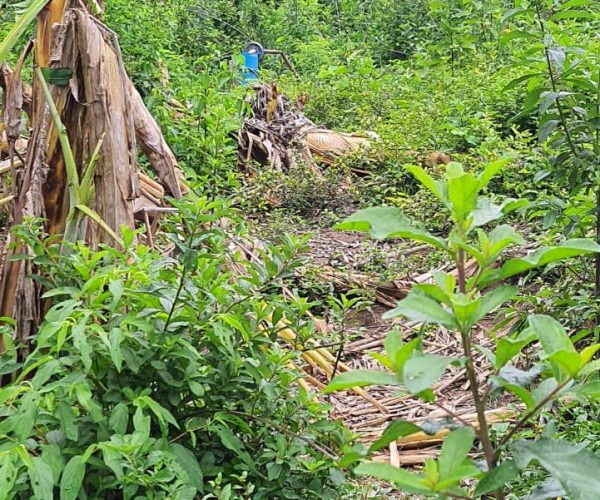 WhatsApp Image 2025-12-15 at 18.08.41