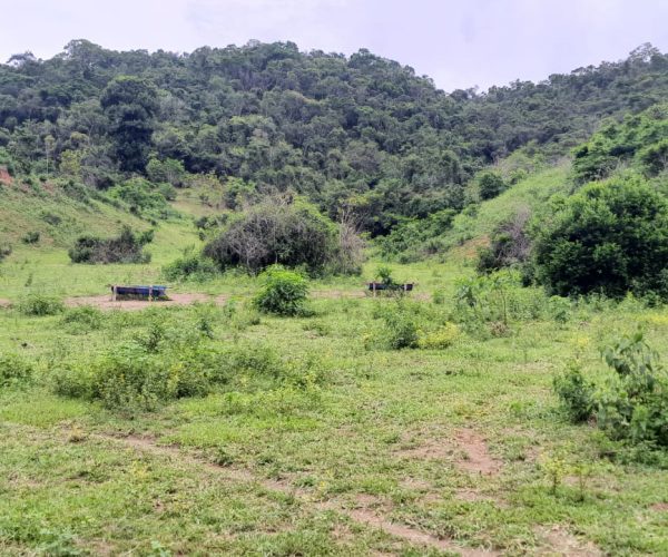 WhatsApp Image 2025-12-15 at 18.08.42