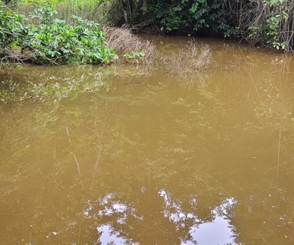 WhatsApp Image 2025-12-15 at 18.08.43