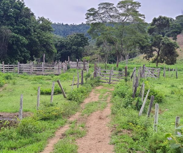 WhatsApp Image 2025-12-15 at 18.08.45