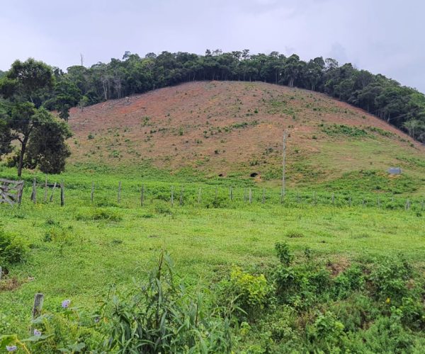 WhatsApp Image 2025-12-15 at 18.08.46 (1)