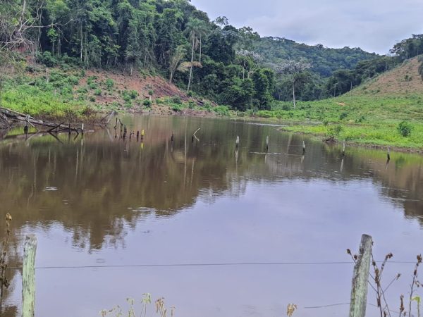 WhatsApp Image 2025-12-15 at 18.08.46 (2)