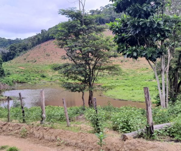 WhatsApp Image 2025-12-15 at 18.08.46