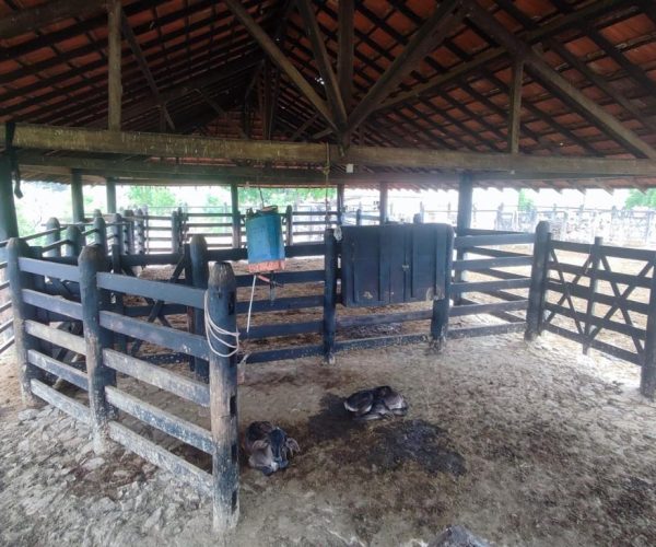 WhatsApp Image 2025-12-16 at 12.57.18 (1)