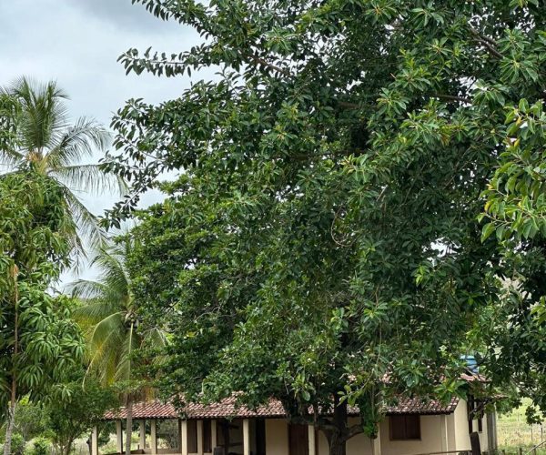 WhatsApp Image 2025-12-16 at 12.57.33