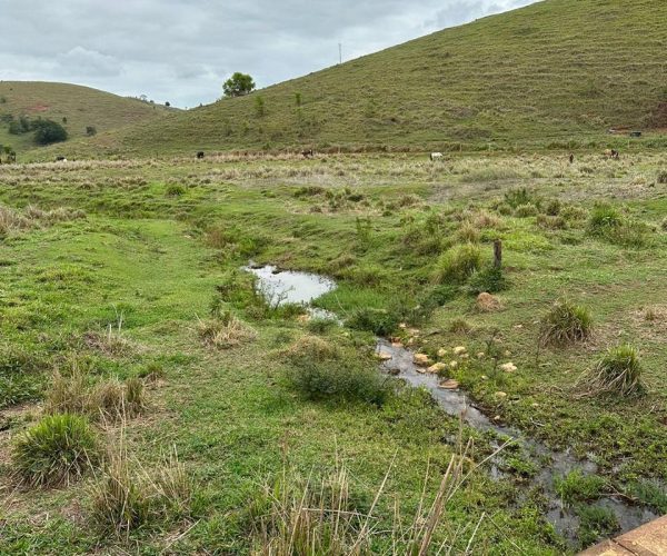 WhatsApp Image 2025-12-16 at 12.57.40 (1)