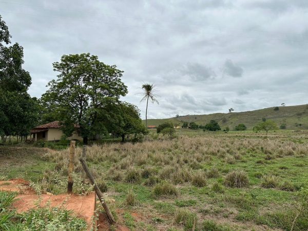 WhatsApp Image 2025-12-16 at 12.57.40