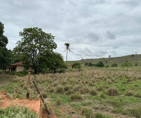 WhatsApp Image 2025-12-16 at 12.57.40