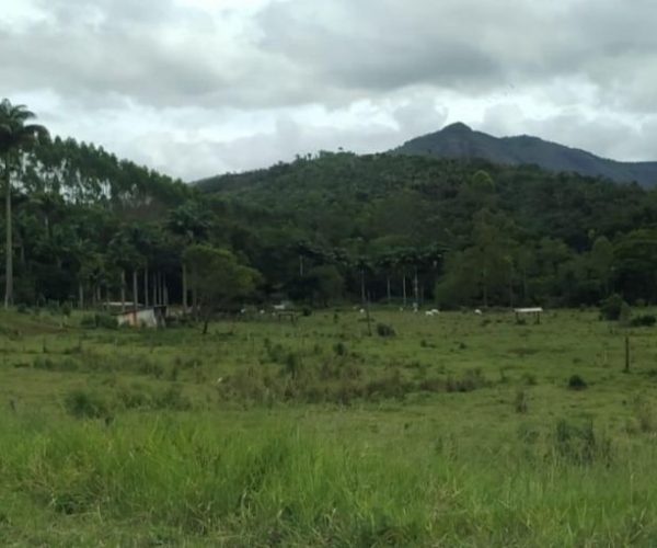 WhatsApp Image 2025-12-16 at 21.08.27 (1)