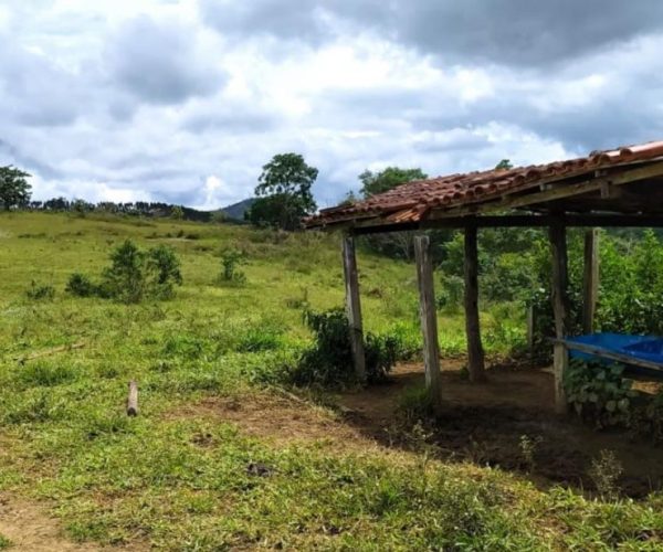 WhatsApp Image 2025-12-16 at 21.08.27 (4)