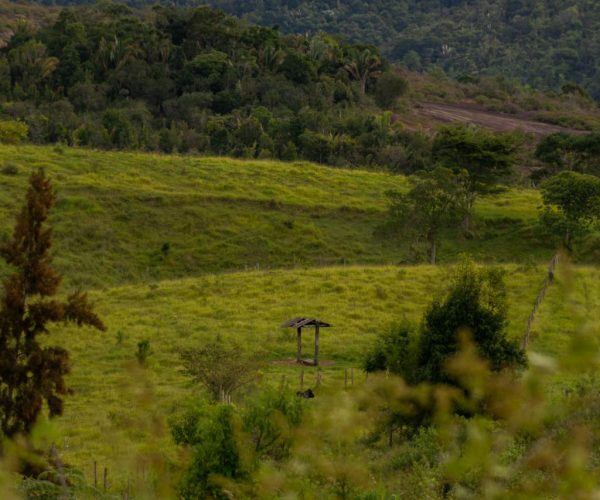 WhatsApp Image 2025-12-16 at 21.08.27