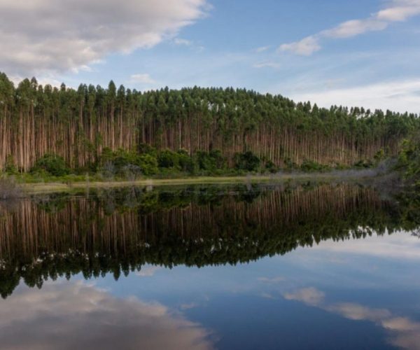 WhatsApp Image 2025-12-16 at 21.08.29 (2)