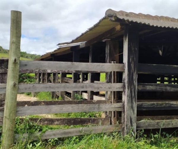 WhatsApp Image 2025-12-16 at 21.08.29 (4)