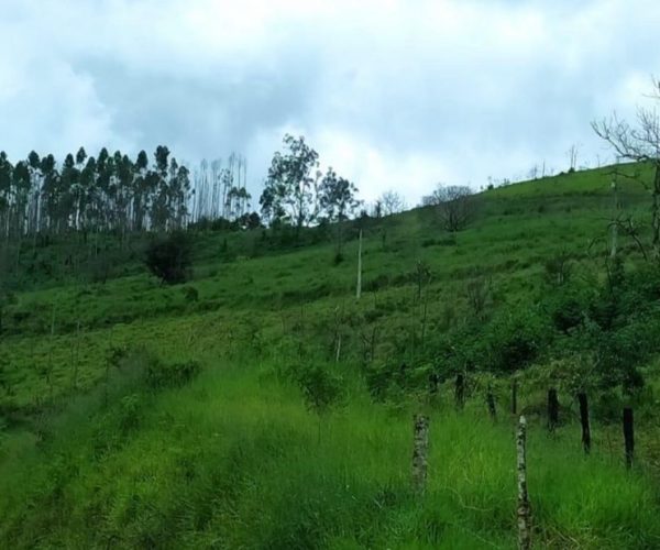 WhatsApp Image 2025-12-16 at 21.08.29