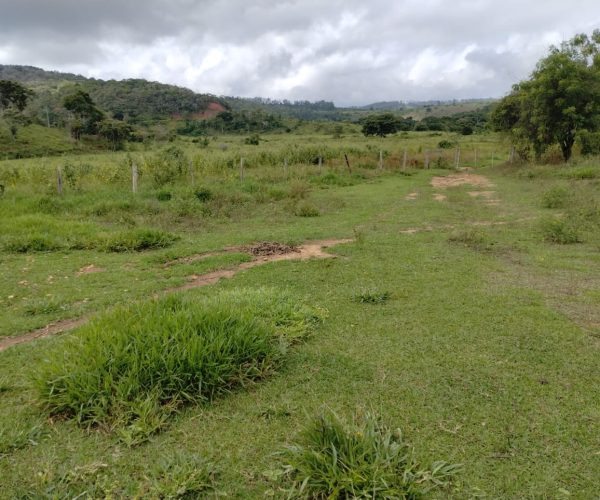 WhatsApp Image 2025-12-16 at 21.10.49