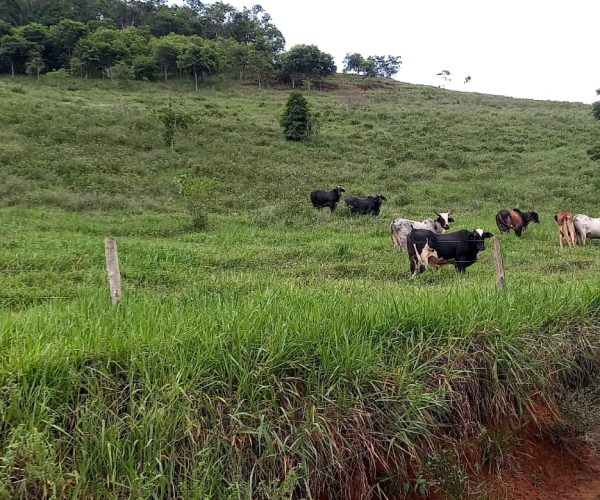 WhatsApp Image 2025-12-17 at 11.10.28 (1)