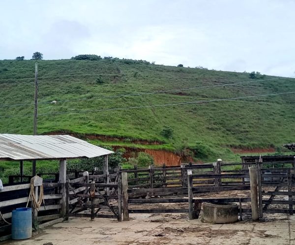 WhatsApp Image 2025-12-17 at 11.10.28 (2)