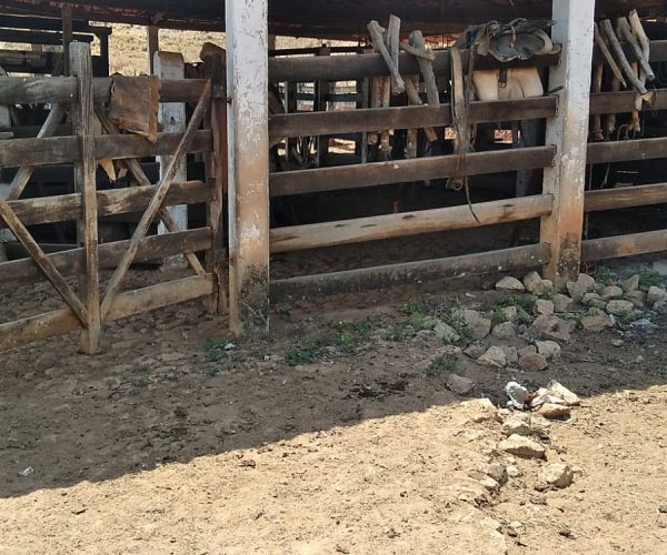 WhatsApp Image 2025-12-17 at 11.10.31 (4)