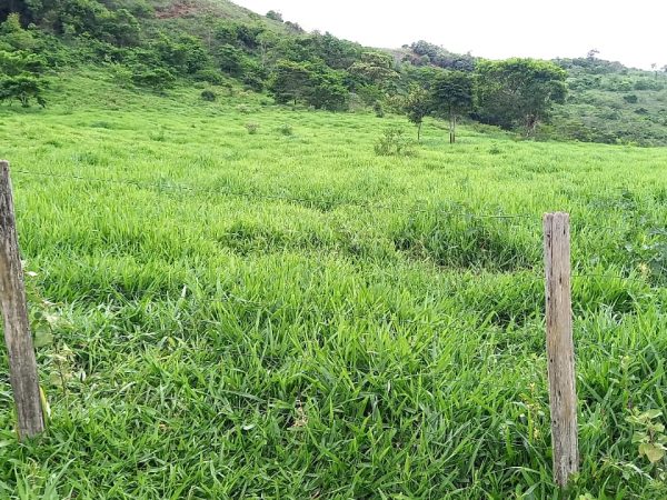 WhatsApp Image 2025-12-17 at 11.10.31