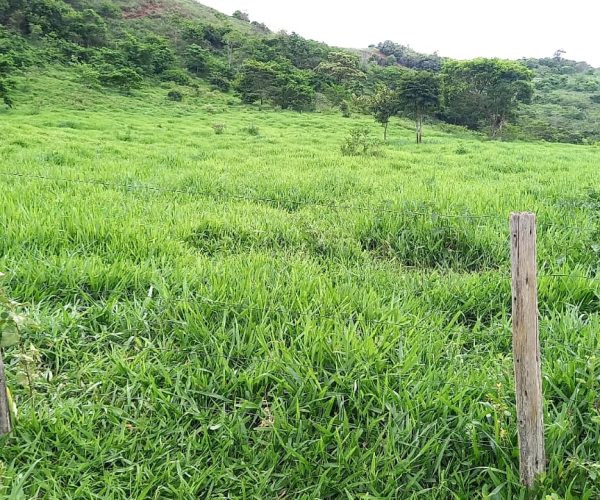 WhatsApp Image 2025-12-17 at 11.10.31