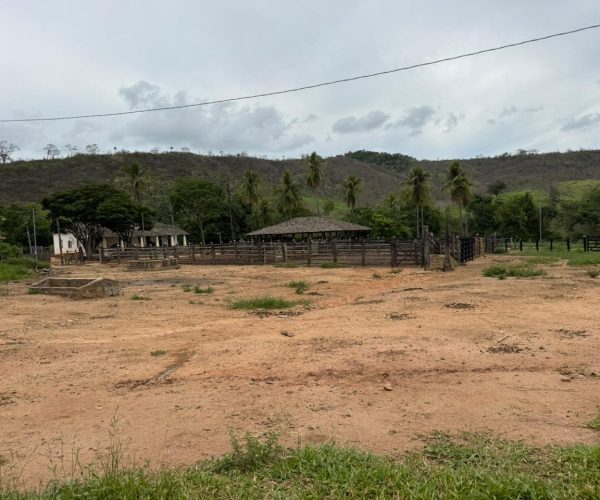 WhatsApp Image 2025-12-22 at 22.41.55 (1)