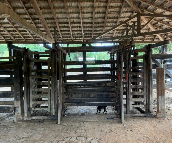 WhatsApp Image 2025-12-22 at 22.41.55