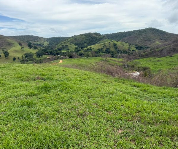 WhatsApp Image 2025-12-22 at 22.41.57 (2)