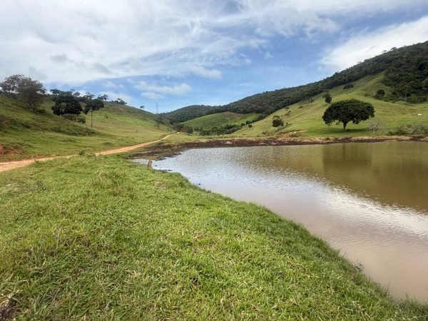 WhatsApp Image 2025-12-22 at 22.42.05 (4)